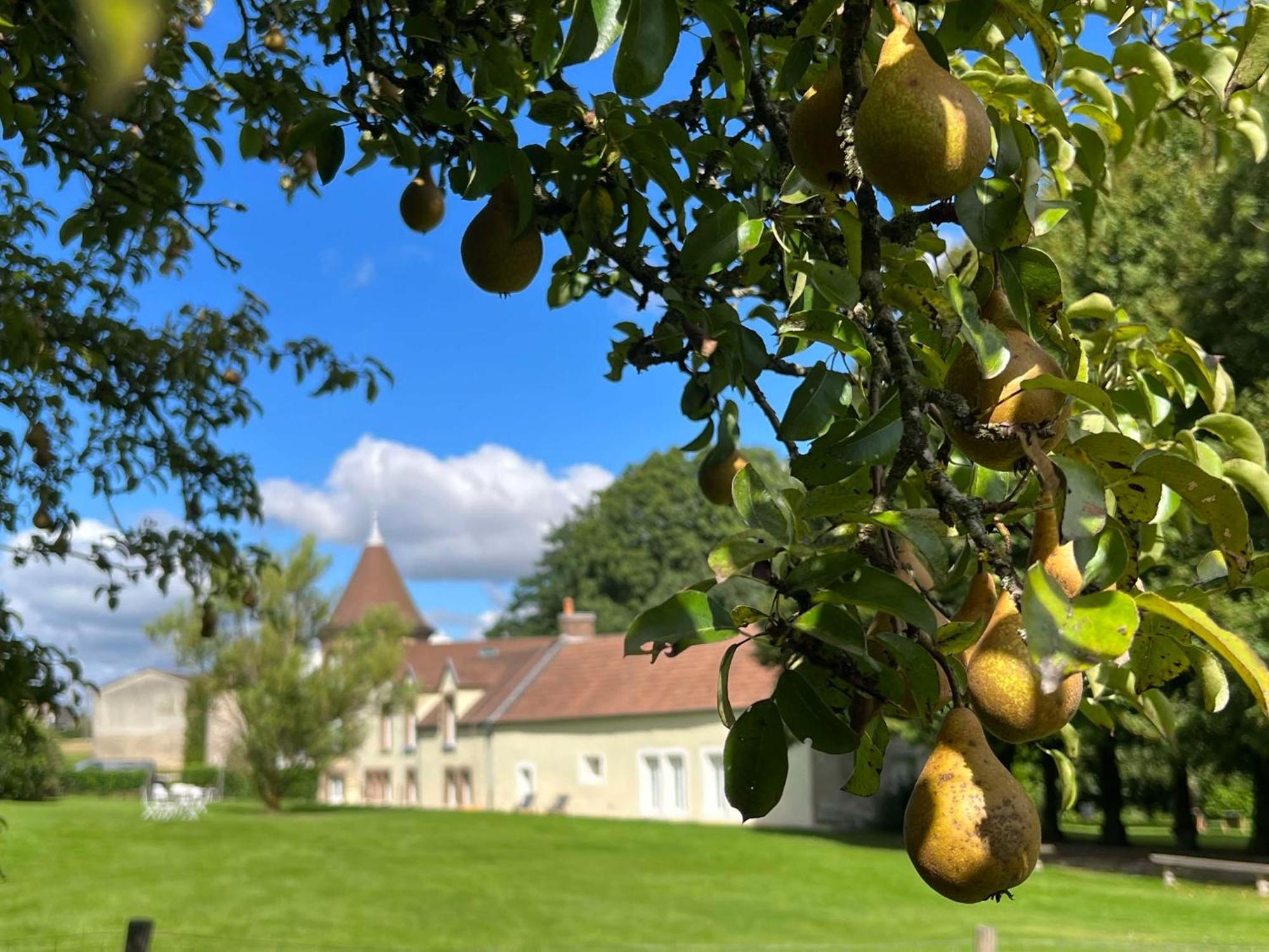 Le Petit Chateau Baye  Exterior photo